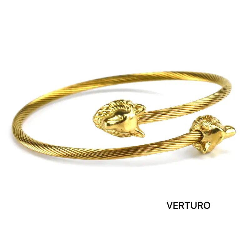 Bracelete Verturo
